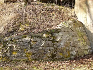 Burgruine