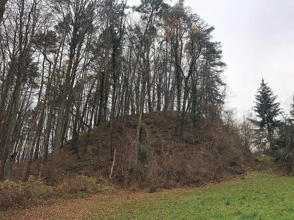 de:Burgstelle Radegg Burghügel, nach Norden