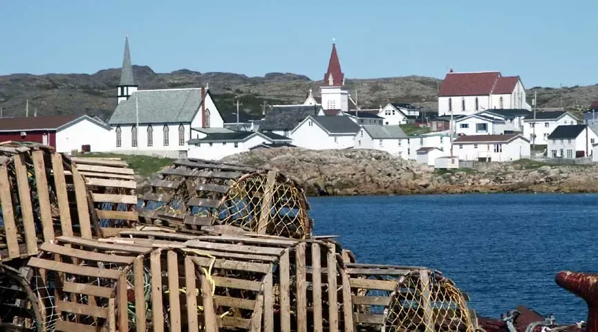 Fogo