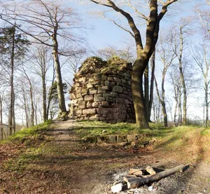 Burgruine Greifenstein