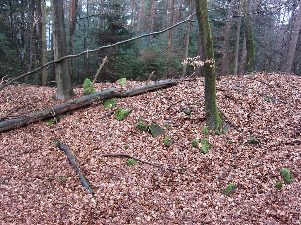 Gisenburg, first earth wall (viewed from south)