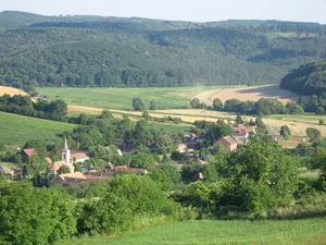 Zselic