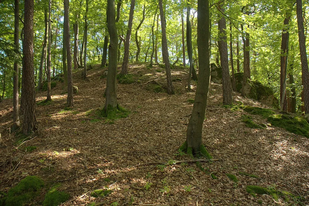 Burgstall Werdenstein - Höchste Stelle des Burgstalls