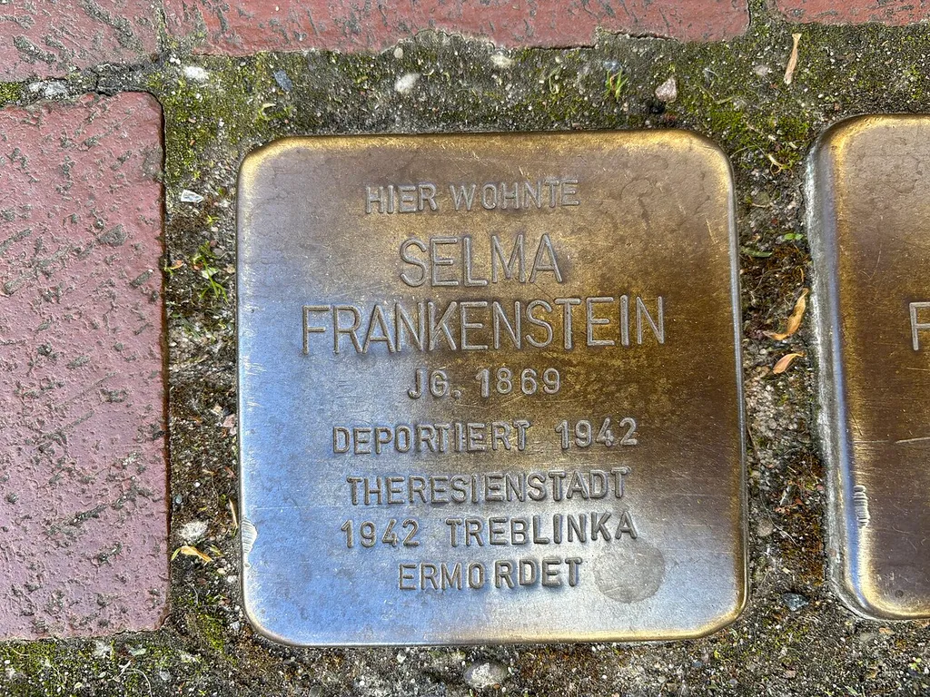Close-up of the Stolperstein dedicated to Selma Frankenstein in Hamelin, Germany