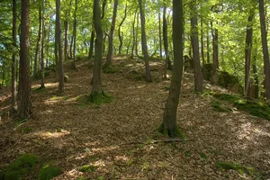 Burgstall Werdenstein