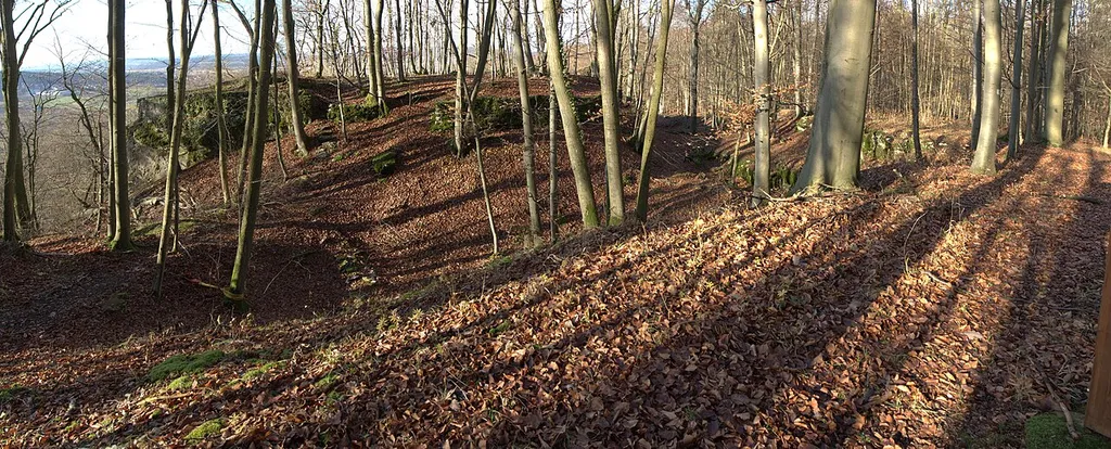 Burgstall Dietrichstein - Ansicht des Burgstalles aus nordöstlicher Richtung