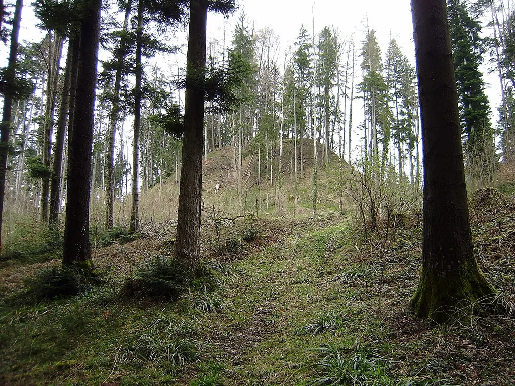 Burgstall Neu-Schönstein bei Hohenweiler (Vorarlberg,Austria) von Südwesten