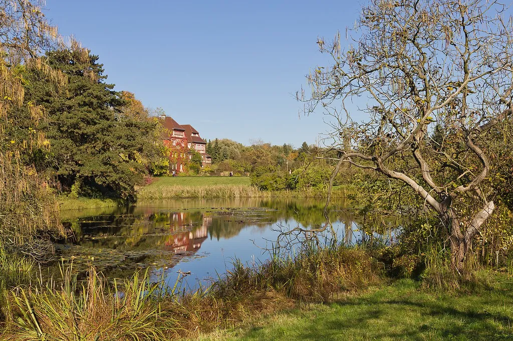 Berlin-Dahlem Botanical Garden in autumn 2014 / one of the ponds