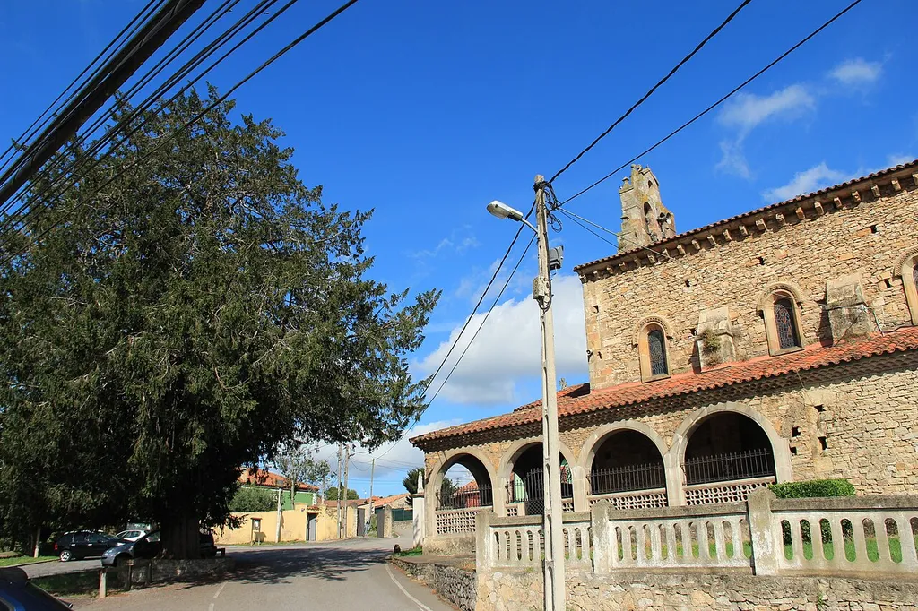 Field of church of San Juan de Cenero (Cenero. Gijón). Yew tree and church.