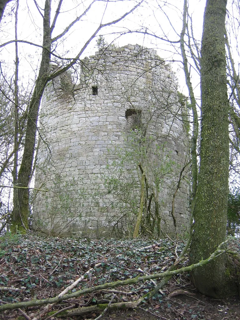 avril 2015 Moulin Valroy Saint-Quentin-le-Petit, Ardennes, France