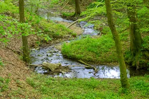 Hinnenburger Forst mit Emder Bachtal