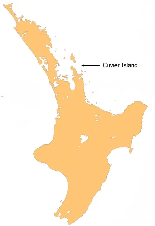Cuvier Island
