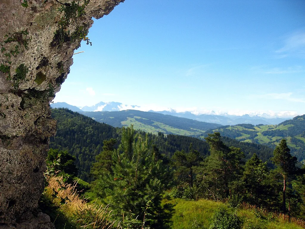 View from the ruin Neutoggenburg to the alps of Berne