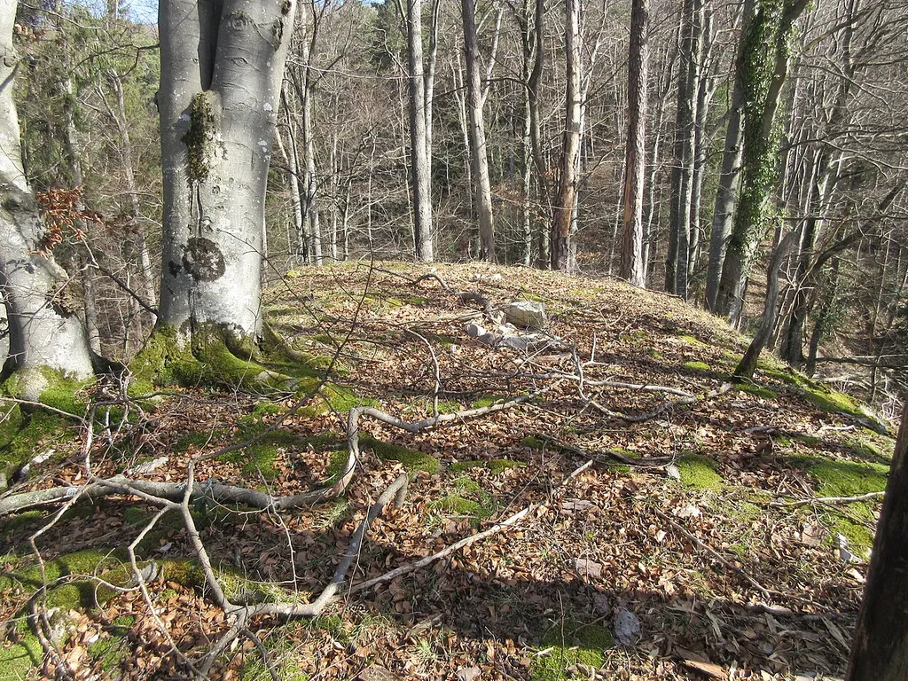 Das obere Plateau der Burgstelle Altschloss bei Zeglingen.