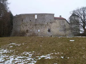 Burgruine Reichenau