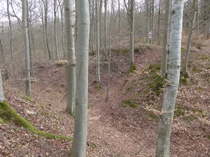 Burg Rohrau