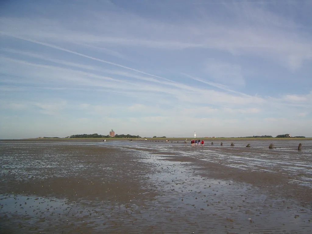 Hamburg Wadden Sea National Park