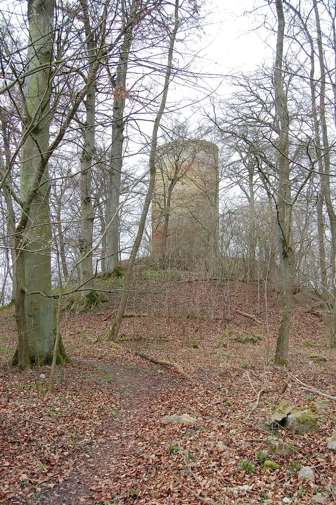 Main Tower (Bergfried) of Schartenburg