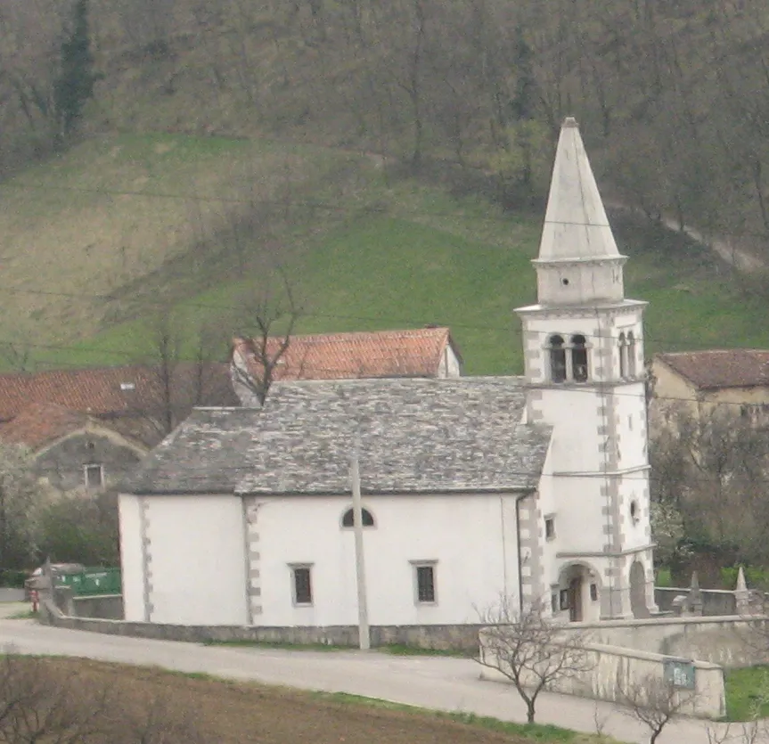 Vas Lozice avtor