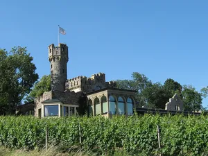 Burg Schwarzenstein (Geisenheim)
