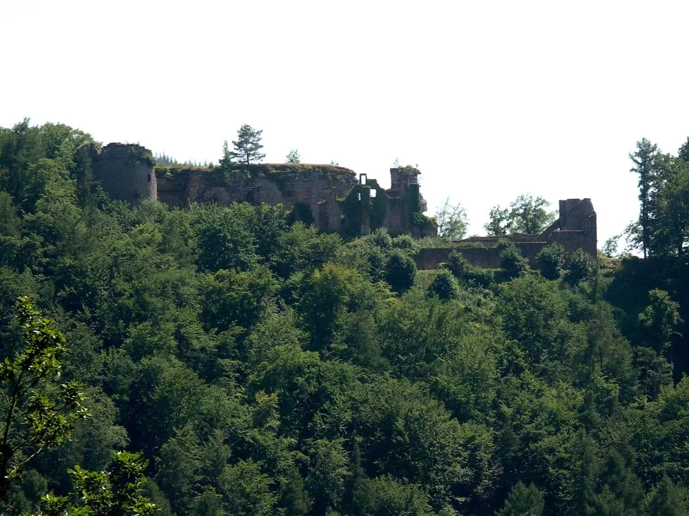 Neuscharfeneck bei Ramberg Datum: 17.7.2005 Fotograf: Peter Schmenger