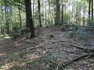 Hallstatt period burial mound group