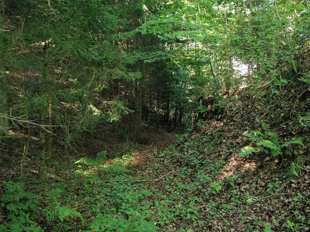 Graben bei der Burgstelle Stiegelburg