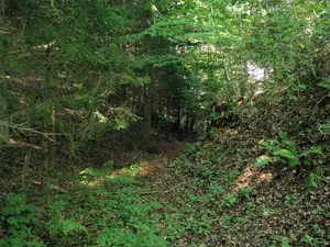 Stiegelburg