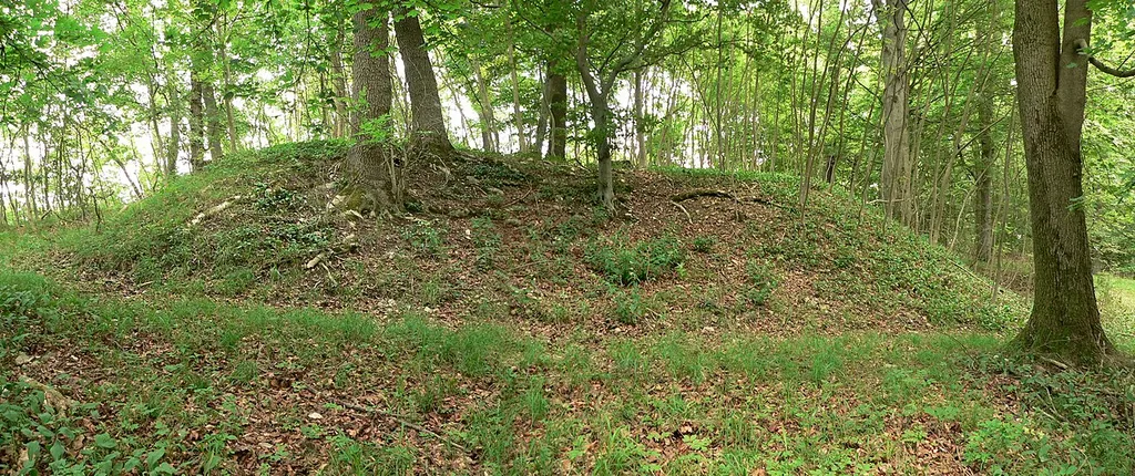 Burghügel der Alten Burg (Bühle)