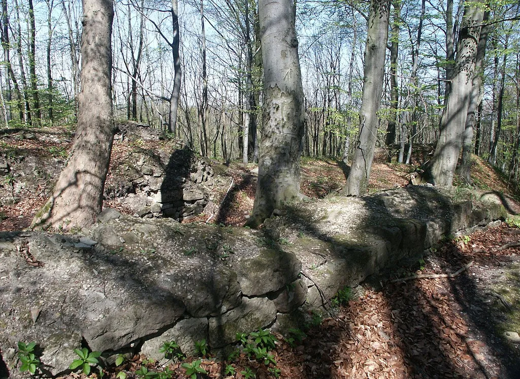 Ruine Dreienburg, Mauerreste