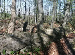 Burgruine Dreienburg