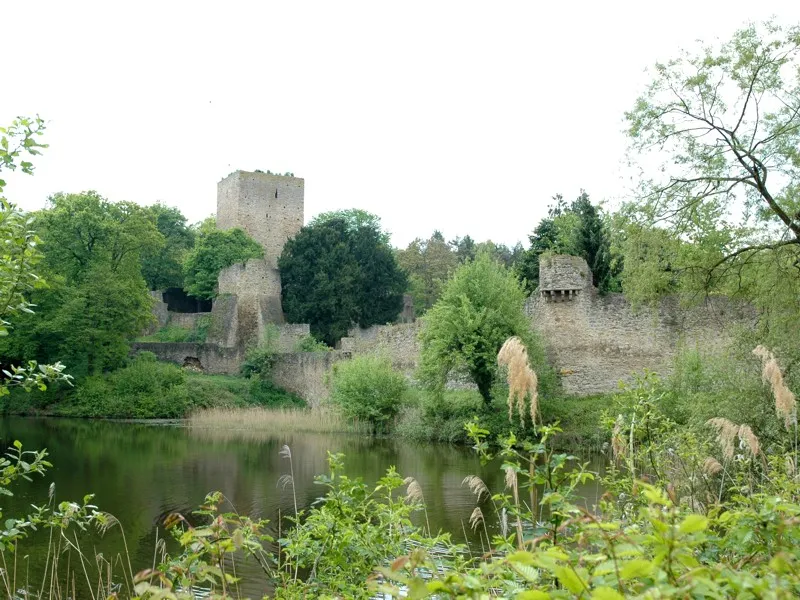 Die Hardtburg aus Nordosten
