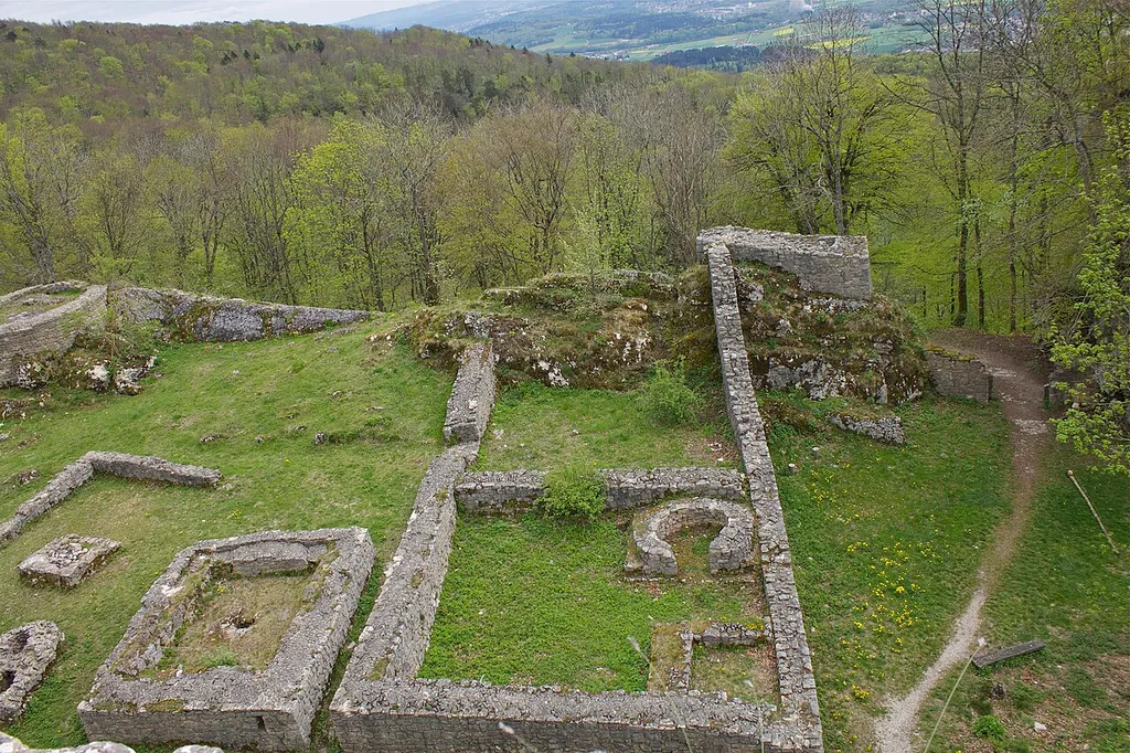 Ruine Frohburg in Trimbach
