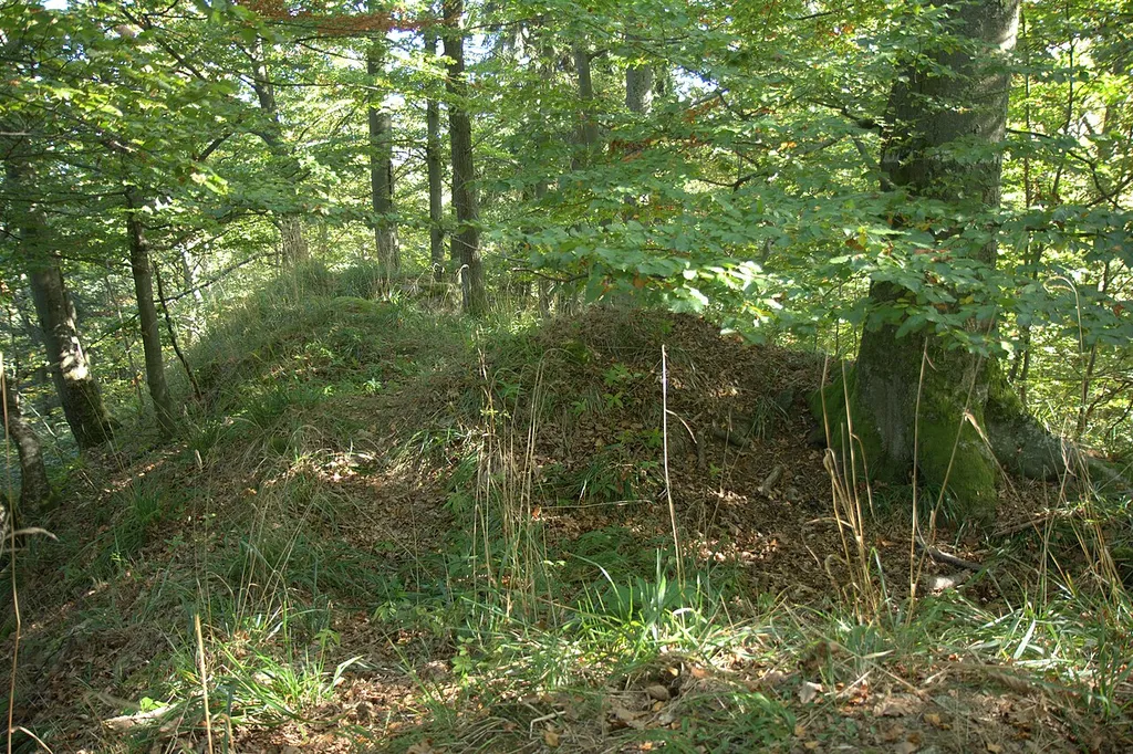 Burgstall Altenthannstein - Höchste Stelle des Burgstalls mit Spuren von Bebauung