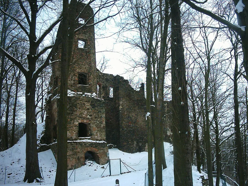 Die Ruine der Burg Liebau in der Gemeinde Pöhl im Vogtland (Sachsen, Deutschland)