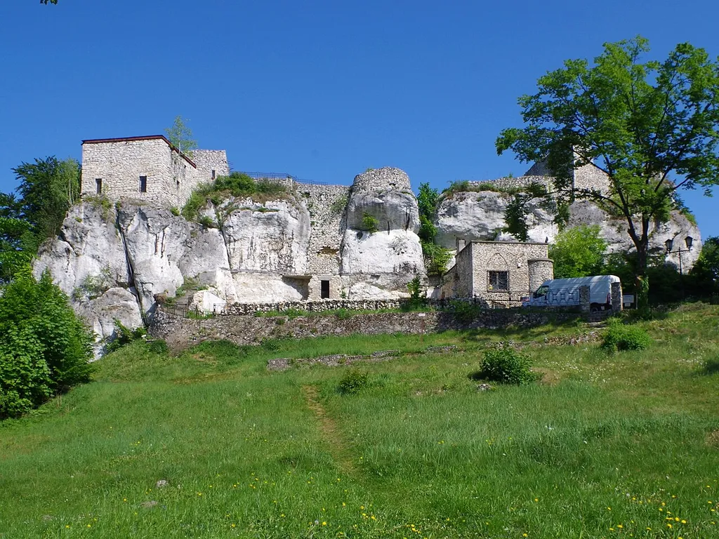 Zamek w Morsku