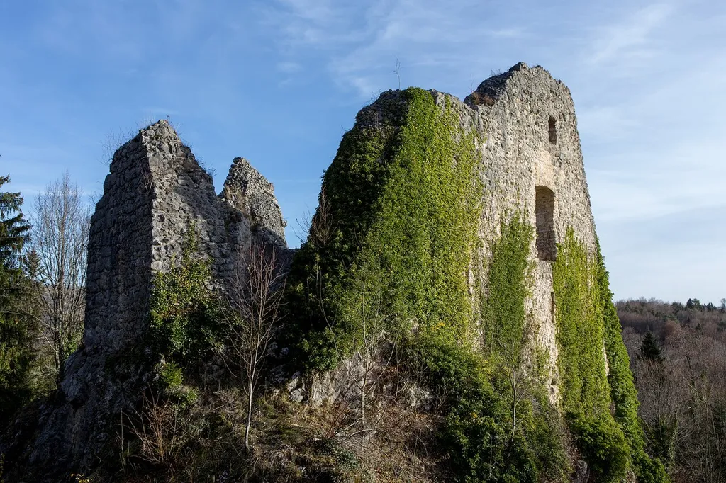 Burgruine Löwenburg bei Ederswiler, aber der Gemeinde Pleigne zugehörig