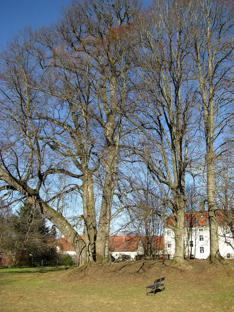 Stelle der ehemaligen Burg Warnberg auf Gut Warnberg und höchster Punkt Münchens mit 580,5 m.