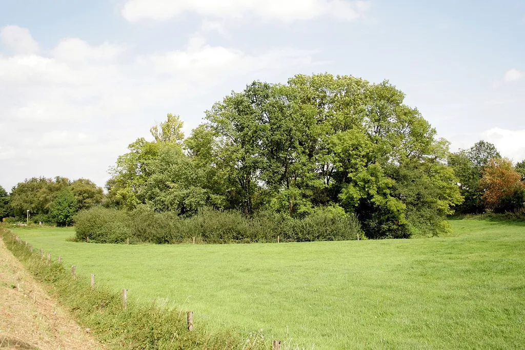 Wasserburg Gevern in Neuenrade-Küntrop