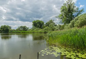 Schweriner Außensee (Nordwestmecklenburg)