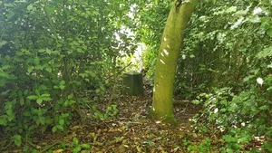 Belgium-Netherlands boundary stone no. 15a