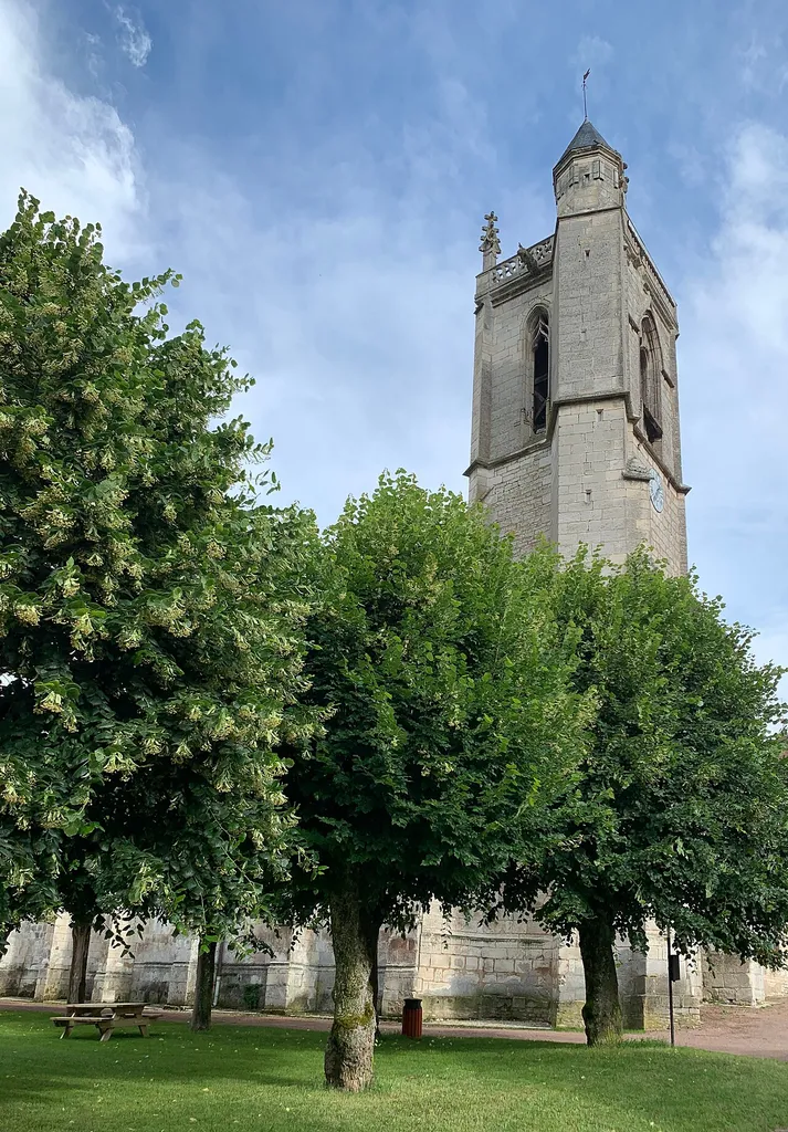 Église Saint-Germain d'Irancy en juin 2020.