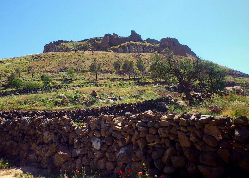 Salkhad colline and historic castle