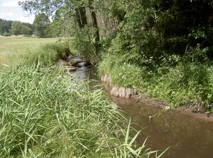 Bayerische Schwarzach und Biberbach
