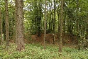 Burgstall Schlossberg