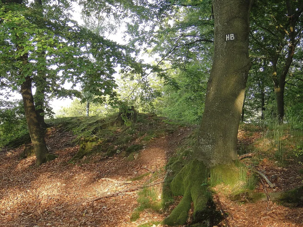 Hünenburg bei Rumbeck, Die Innenseite des Südwalls