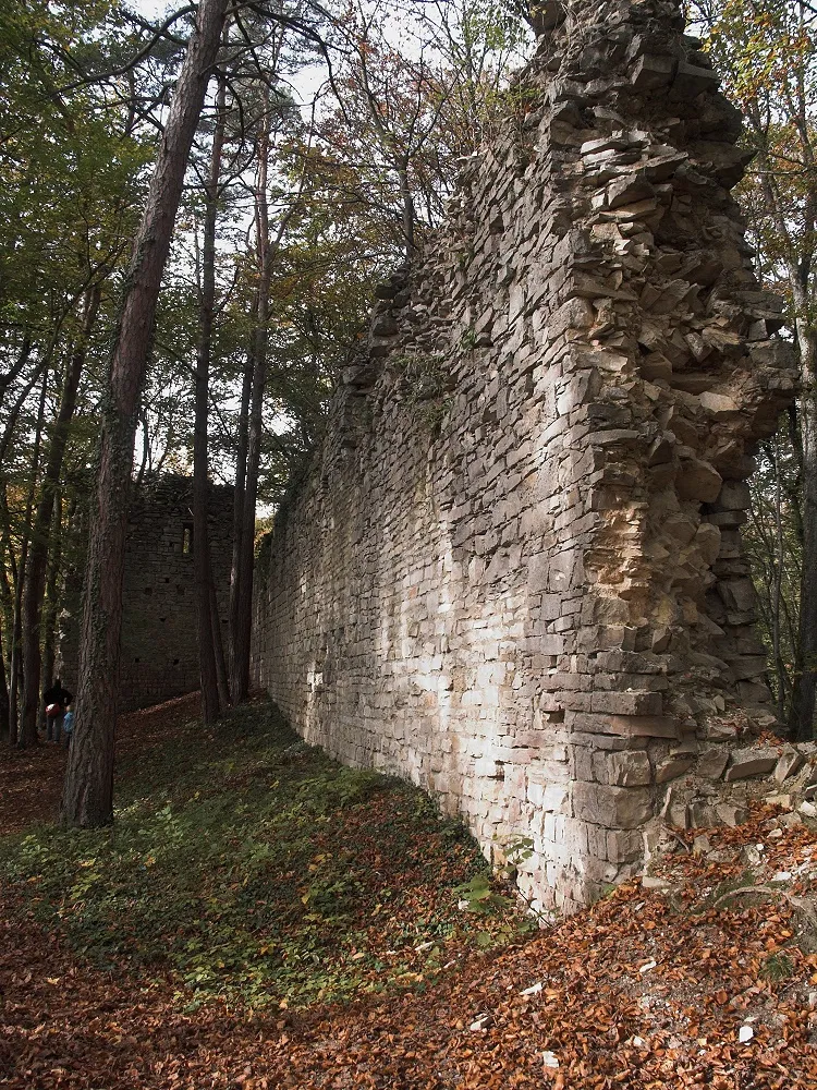 Pallasreste der Tudoburg, Eigeltingen, Germany