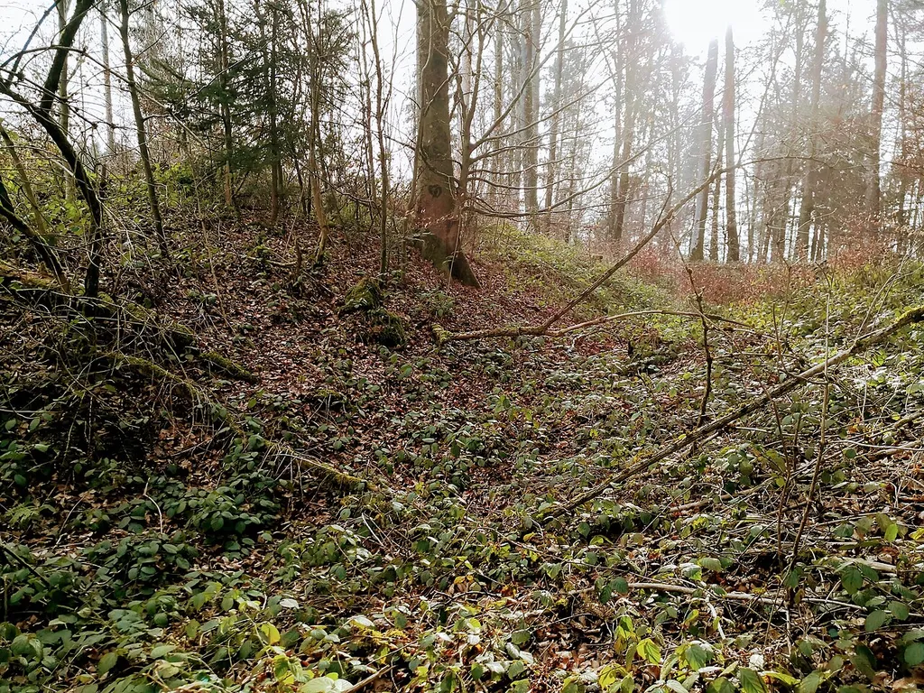 This is an image of a cultural property of regional significance in Switzerland with KGS number