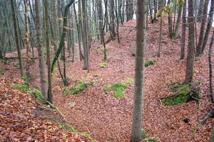 Burgstall auf dem Heideknock