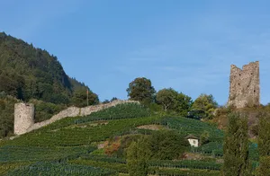 Freudenberg, medieval castle ruins